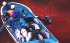 Protests as 'The Cove' hits Japanese cinemas