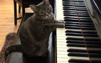 Beatles piano up for sale: auction house