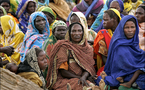 UN expert urges Sudan to investigate Darfur market killings