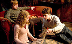 No 3D magic for new Harry Potter movie