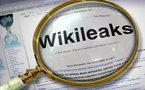 WikiLeaks' Assange to fight extradition: lawyer