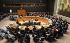Security Council gravely concerned at Yemen chaos