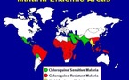 Dirty socks could help fight malaria: researcher