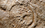Earth's oldest fossils boost hopes for life on Mars