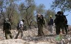 Palestinian 'olive trees uprooted' in West Bank