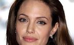 Jolie back in Vietnam with adopted son: reports