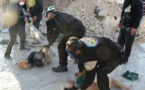 OPCW report to identify culprits of Syria chemical weapons attacks