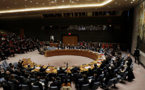 UN chief calls for Idlib ceasefire after 'alarming' escalation