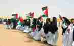 Rights observers visit W. Sahara amid UN envoy row