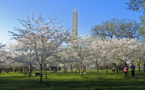 Thousands march in US capital urging tough gun laws