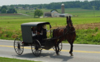 Amish leader gets 15 years for beard chopping attacks