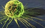 Scientists unravel genetic code of oesophageal cancer
