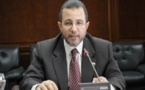 Nine new ministers in Egypt cabinet reshuffle