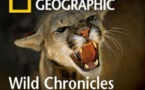 Namesake TV channel breaks National Geographic mold