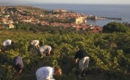 Ancient French winemaking had roots in Italy