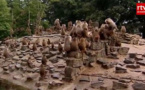 Traumatised baboon mystery at Dutch zoo