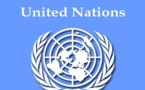 New envoy says US leadership at UN 'indispensable'