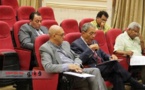 Egypt constitution ready by end November: panel