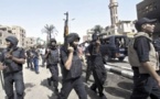 Egypt govt says Brotherhood "military wing" uncovered