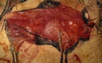 Spain prehistoric cave art gems reopen to lucky few