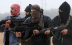 Syria war may last 10 more years: experts