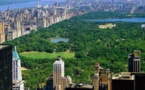 What, no more buggy rides in NY's Central Park?