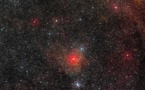 Astronomers reveal 'largest yellow star ever'