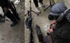 29 rebels dead in Syria premature car bomb blast: NGO
