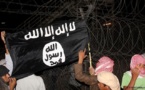 Egypt troops kill top Sinai militant: army