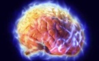 US experts urge focus on ethics in brain research