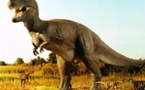 Dinosaur metabolism: not too hot, not too cold