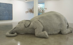 Indian elephant gets her own art exhibition