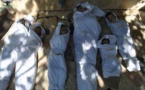 Syria army kills dozens in ambush east of Damascus