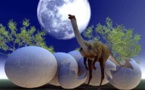 Dozens of dinosaur eggs found at construction site in China