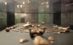 'Lucy' may not be our mum, say scientists