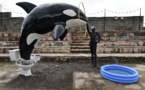 Artist Banksy opens sinister theme park at British seaside