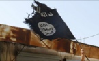 Al-Qaeda fighters could tackle IS: Petraeus