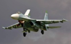 Russian air strikes hit Syria's historic Palmyra region: Moscow