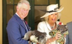 Prince Charles meets Australian war widow