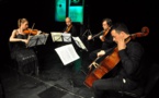 More orchestras join Google classical project