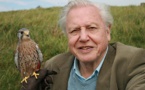 Naturalist David Attenborough says Sun can save Earth