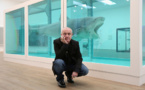 Damien Hirst artworks leaked formaldehyde gas: study