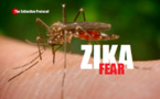 Bacteria hampers mosquitoes' ability to spread Zika: study