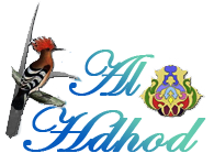 Hdhod - English Hdhod - English